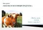 Presentatie “Melk en zuivelproducten Achtergrond voor presentatie melk en zuivelproducten