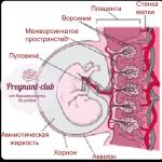 Causes et traitement de la structure hétérogène du placenta Que signifie placenta hétérogène ?