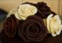 Hoa hồng sô cô la Hình ảnh Hoa hồng Floribunda Xổ số sô cô la