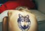 Wolf-tatoeage op onderarm