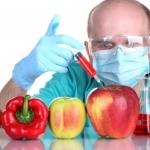 Qu'est-ce que les OGM dans les produits ? Qu'est-ce qui est sans OGM ?