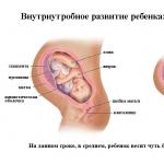 Douleur dans l'utérus à 38 semaines