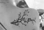 Leaves Tattoo Meaning Sakura Tattoo அர்த்தம்